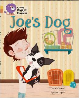 Joe's Dog by David Almond